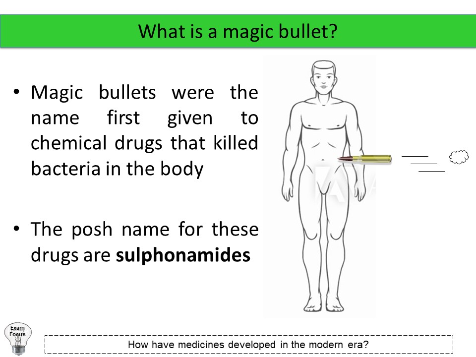 Magic Bullets and the Pharmaceuticals Teaching Resources