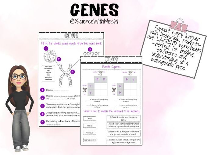 Genes KS3 LA/SEND Worksheet