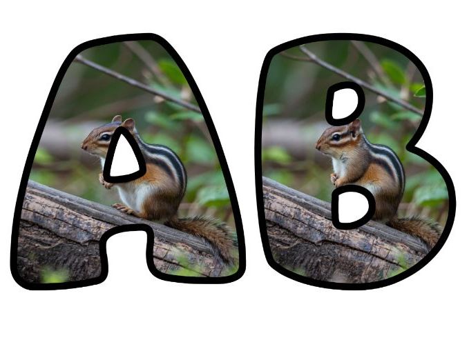 Chipmunk Photo Alphabet Letters | Classroom Display, A-Z 0-9 and Signs