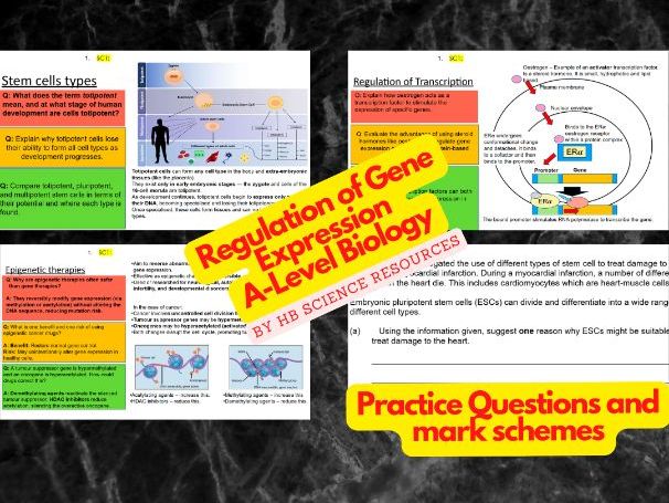 Regulation of Gene Expression A level Biology