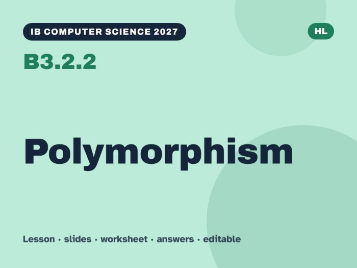 IB Computer Science 2027 – B3.2.2 Polymorphism – Lesson & Worksheet
