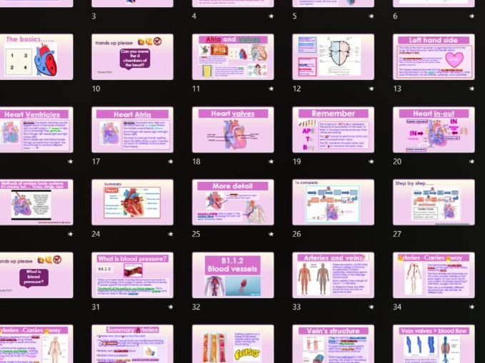 AAQ BTEC Health & Social Care Unit 2 Human Biology B1 Cardio, CHD and Stroke