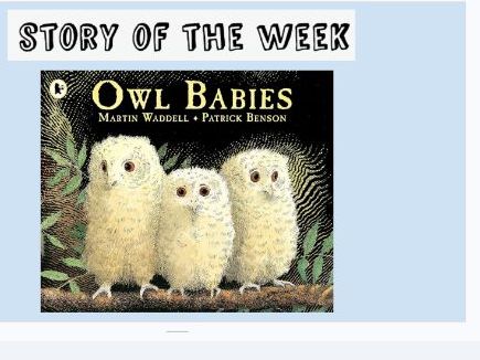 EYFS Owl Babies