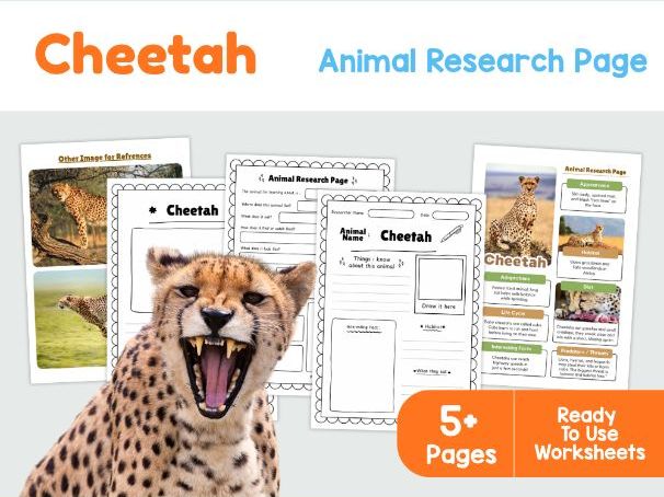 Cheetah Research Worksheets | African Savanna Animals
