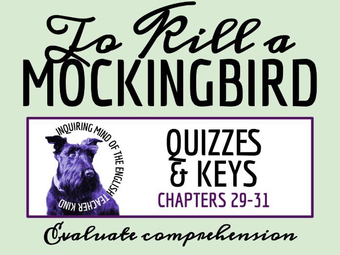 To Kill a Mockingbird Chapters 29, 30, and 31 Quiz and Answer Key | Independent Reading Worksheet
