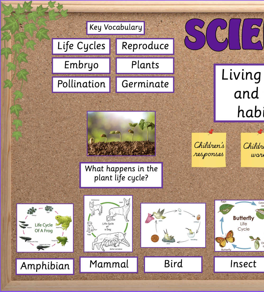 Living Things and Their Habitats Year 5 KS2 Science Display | Teaching ...