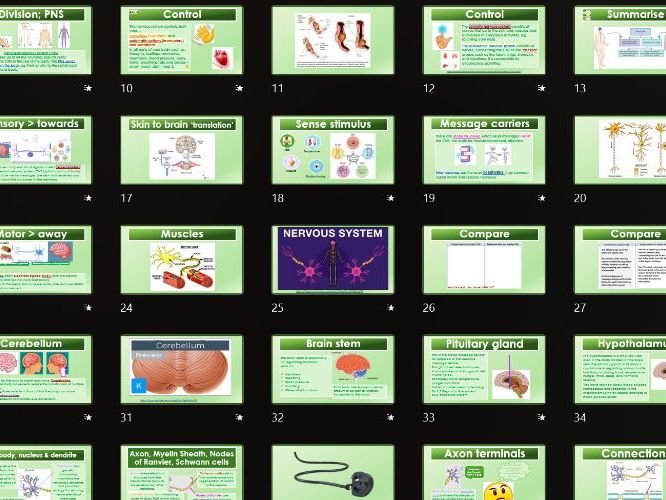 AAQ BTEC Health & Social Care Unit 2 Human Biology B3 Nervous system Dementia