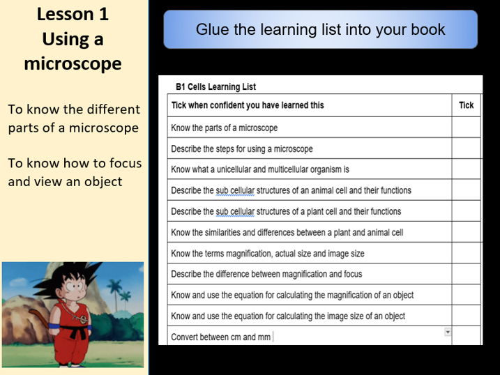 Springboard KS3 Y7-8 B1 Cells 13 Lesson Bundle