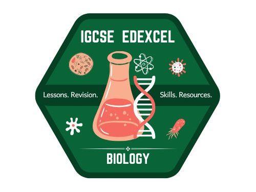 Edexcel iGCSE Biology Topic 2A: Cell Structure & Biological Molecules Revision, Q+A’s