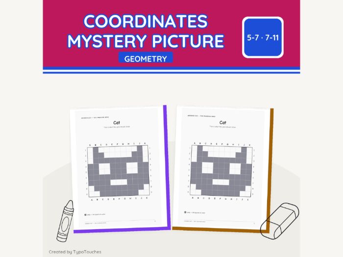 Coordinates Mystery Picture | 2 Sheets