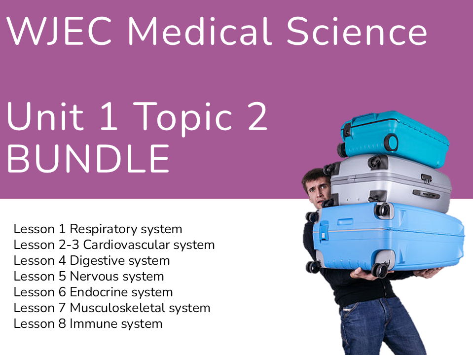 WJEC Medical Science AAQ Body Systems BUNDLE