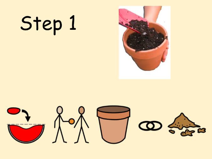 The Tiny Seed Instruction Writing Slides