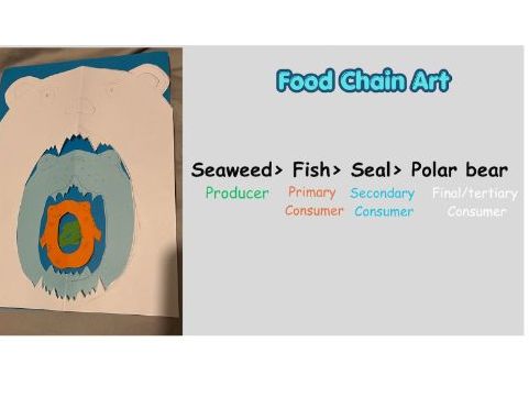 Animal Food Chain Art lesson