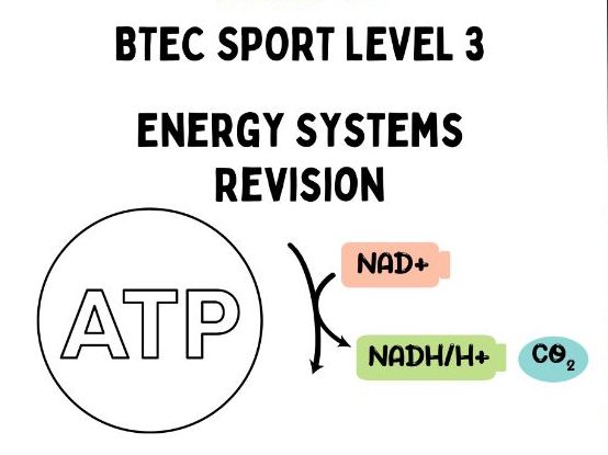 Unit 1 - Energy Systems Revision PP (BTEC Sport Level 3)