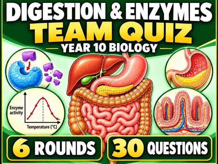 Year 10 Digestion & Enzymes Quiz | GCSE Biology | 30 Questions + Answers