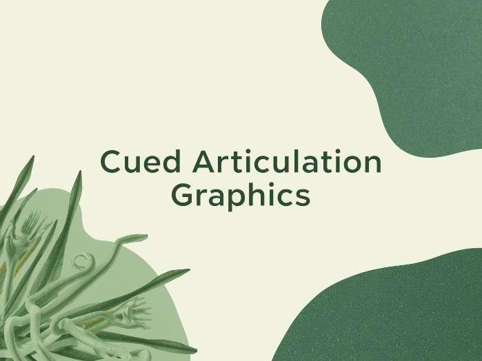 Cued Articulation Graphics