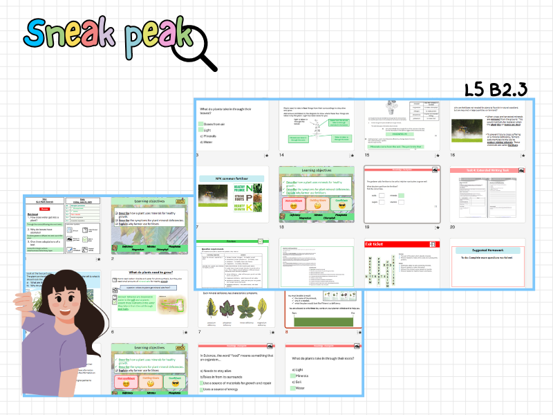 pptx, 10.47 MB
