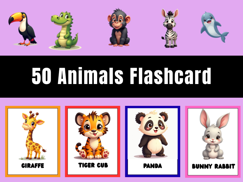 50 Animals Flashcard