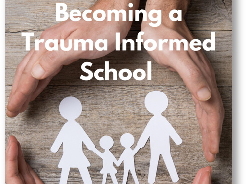 Transforming behaviour through a Trauma informed approach