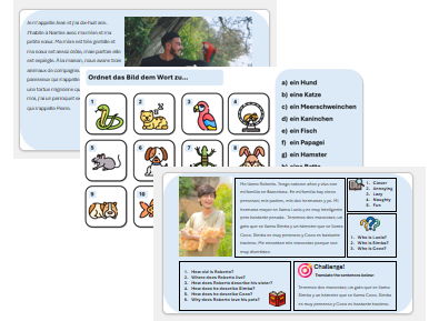Pets (French, German & Spanish) - Complete Unit with Assessment & Mark Scheme (also suitable for cover lessons)