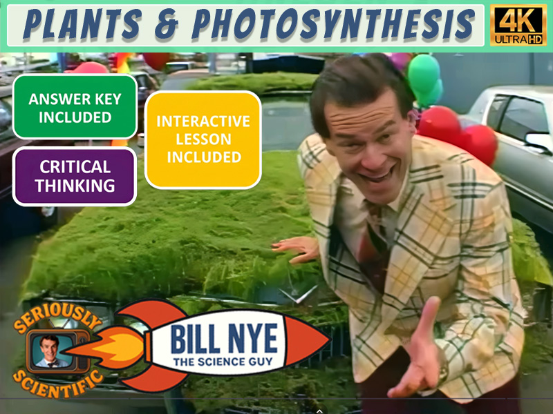 Plants & Photosynthesis Worksheet - Bill Nye