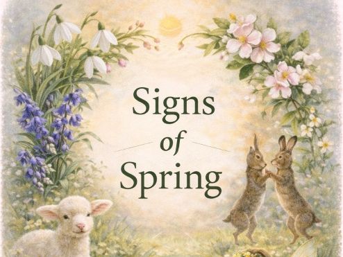 Signs of Spring Printable Cards | Spring Nature Flashcards for EYFS, KS1 & Home Learning