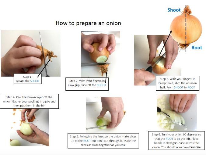 Food & Nutrition Onion Prep Picture Guide