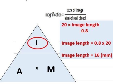 AQA Trilogy Biology Mock exam 2018 feedback lesson to both F&H at the same time!