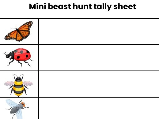 Minibeast Hunt Tally Chart – Outdoor Learning Activity