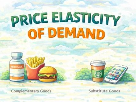 IBDP Economics - Price Elasticity of Demand (PED) - Classroom display