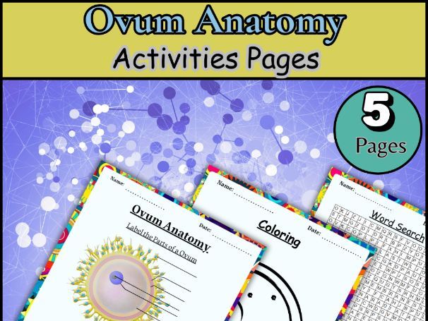 Ovum Anatomy /Label /Coloring page/Biology worksheet