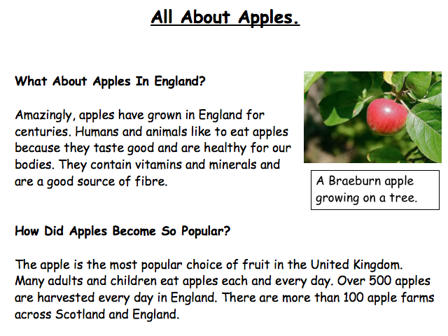 apples information text teaching resources report writing format wikipedia