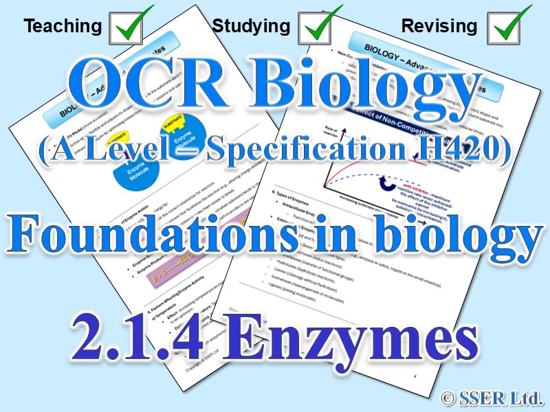 BIOA_OCR Topic Notes: 2.1.4 Enzymes