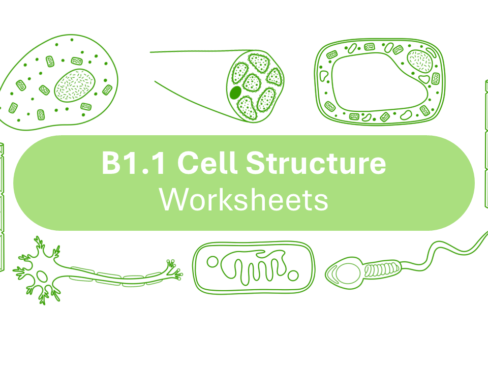 *BUNDLE* B1.1 Cell Structure - Worksheets