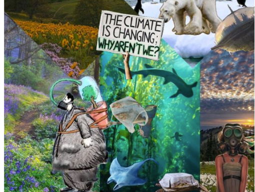 Geography IB DP Unit 2.1 Causes of Global Climate change