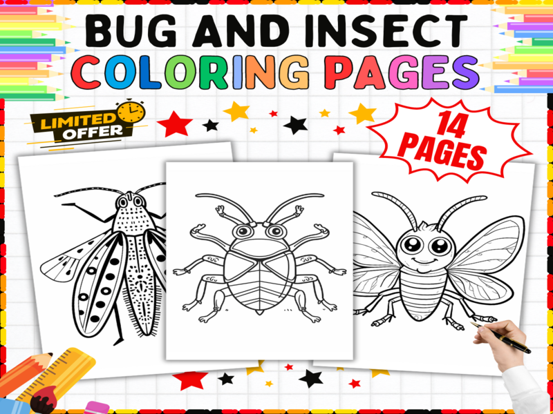 14 Bug Coloring Pages | Insect Activities | Printable Colouring Worksheets