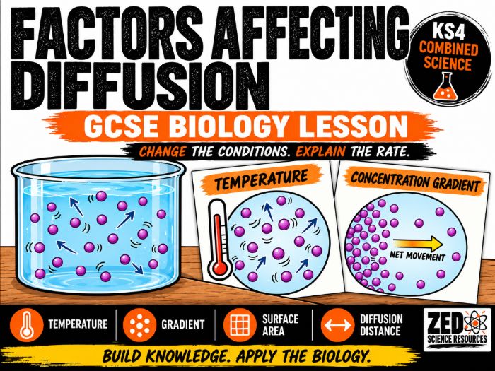 GCSE Biology: Factors Affecting Diffusion Lesson – Temperature, Concentration Gradient and Surface A