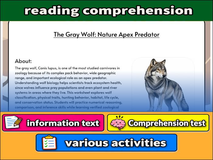 The Gray Wolf: Nature Apex Predator - zoology & Activities