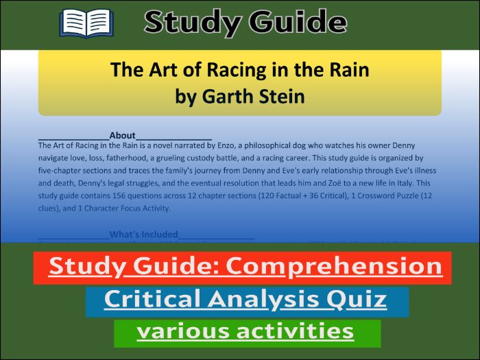 The Art of Racing in the Rain, study guide & Activities