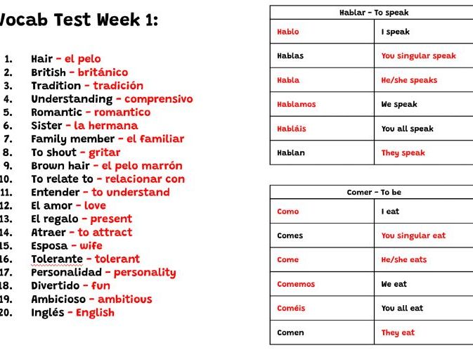 NEW GCSE Unit 1 : Vocabulary Tests
