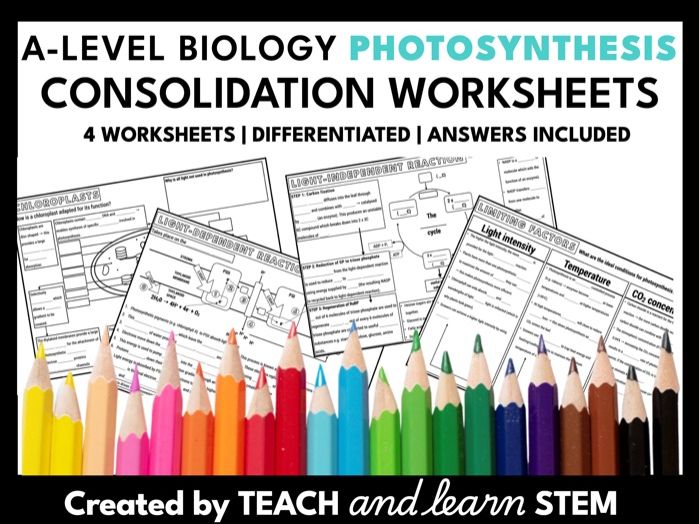 A-level Biology Photosynthesis Summary Worksheets