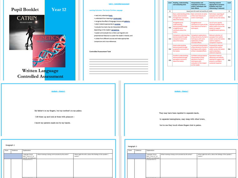Written Language CAT: Theme of Family