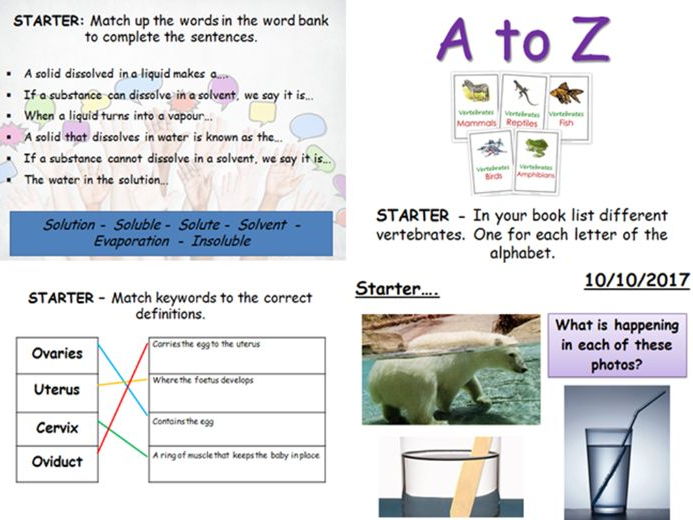 Science Starter And Plenary Activities Teaching Resources