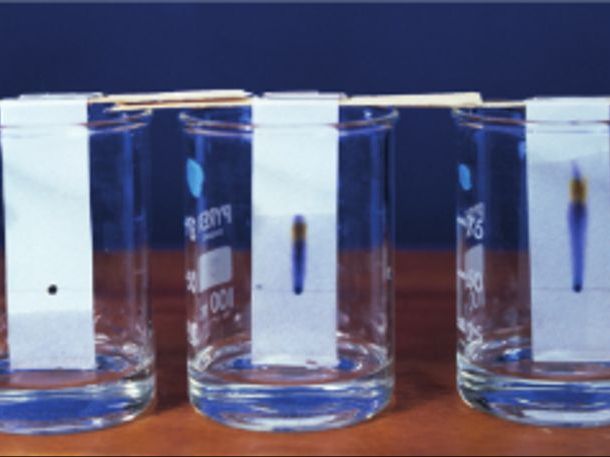 Chromatography PPT