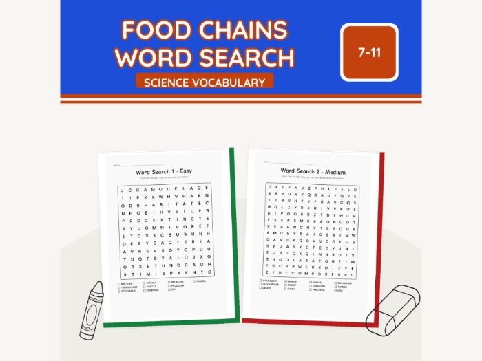 Food Chains Word Search KS2 Science | 7 pp