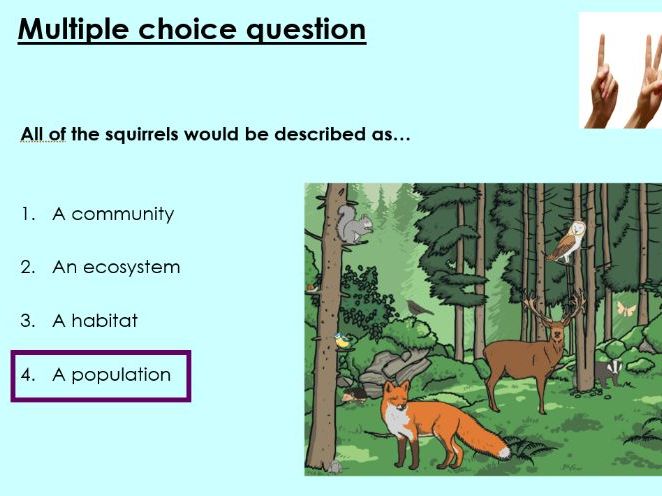 Ecosystems - KS3 Activate lesson