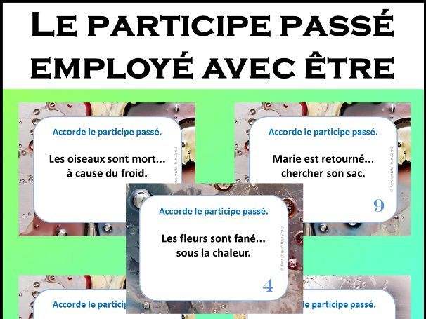 Le participe passé employé avec être - 28 CÀT