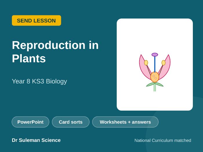 Reproduction in Plants SEND Lesson KS3 Year 8