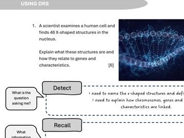 KS3 Genetics Application of Knowledge Questions