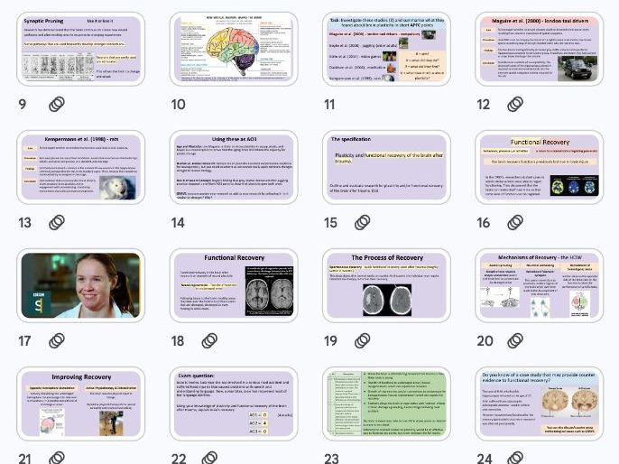 A Level Psychology: Plasticity + Functional Recovery - Biopsychology NEW AQA 2025 Specification